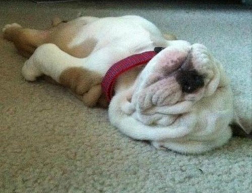 10 days to drastically improve your Happiness: Sleep